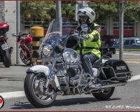 TSR Watermark - 0592